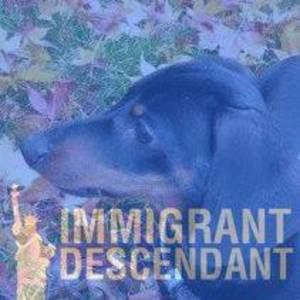 Meet your Posher, Cynthia